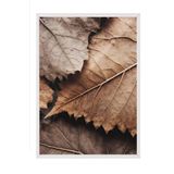 Postifull Brown Leaves Çerçeveli Tablo, Beyaz Çerçeve Ve Poster, Dikey Duvar Tablosu Comfort Serisi No:108315;21 X 30 Beyaz Çerçeveli