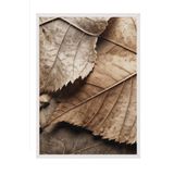 Postifull Brown Leaves Çerçeveli Tablo, Beyaz Çerçeve Ve Poster, Dikey Duvar Tablosu Comfort Serisi No:108352;50 X 70 Beyaz Çerçeveli
