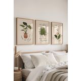 Postifull Çerçeveli Tablo Seti, 3 Adet Ahşap Çerçeve Ve Minimalist Çizim Temalı Poster Seti, No:300532;13 X 18 Ahşap