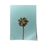 Postifull Çerçevesiz Poster, Yaz Temalı Tablo No:112, Yalnız Palmiye Fotoğrafı, Mavi Poster, Dikey;21 X 30 Renkli - 20