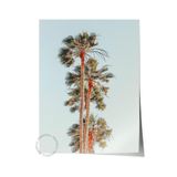 Postifull Çerçevesiz Poster, Yaz Temalı Tablo No:126, Palmiye Kümesi Fotoğrafı, Mavi Poster, Dikey;70 X 100 Renkli - 10