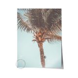 Postifull Çerçevesiz Poster, Yaz Temalı Tablo No:157, Tek Palmiye Fotoğrafı, Mavi Poster, Dikey;10 X 15 Renkli - 16