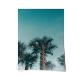 Postifull Çerçevesiz Poster, Yaz Temalı Tablo No:163, Palmiyeler Fotoğrafı, Mavi Poster, Dikey;13 X 18 Renkli - 21