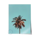 Postifull Çerçevesiz Poster, Yaz Temalı Tablo No:212, Palmiye Ve Mavi Gökyüzü Fotoğrafı, Mavi Poster, Dikey;70 X 100 Renkli - 20