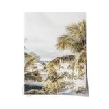 Postifull Çerçevesiz Poster, Yaz Temalı Tablo No:22, Palmiye Ormanı Fotoğrafı, Yeşil Poster, Dikey;10 X 15 Renkli - 8