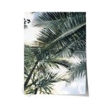 Postifull Çerçevesiz Poster, Yaz Temalı Tablo No:220, Palmiye Ve Mavi Gökyüzü Fotoğrafı, Mavi Poster, Dikey;33 X 48 Renkli - 5