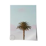 Postifull Çerçevesiz Poster, Yaz Temalı Tablo No:256, Tek Palmiye Fotoğrafı, Yeşil Poster, Dikey;10 X 15 Renkli - 15