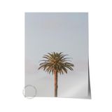 Postifull Çerçevesiz Poster, Yaz Temalı Tablo No:26, Yalnız Palmiye Fotoğrafı, Yeşil Poster, Dikey;30 X 42 Renkli - 11