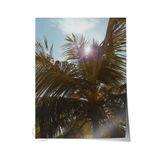 Postifull Çerçevesiz Poster, Yaz Temalı Tablo No:29, Güneşli Palmiye Fotoğrafı, Yeşil Poster, Dikey;30 X 42 Renkli - 14