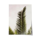 Postifull Çerçevesiz Poster, Yaz Temalı Tablo No:43, Palmiye Yaprağı Fotoğrafı, Yeşil Poster, Dikey;50 X 70 Renkli - 4