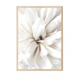Postifull Close Up Blossom Çerçeveli Tablo, Ahşap Çerçeve Ve Poster, Duvar Tablosu Comfort Serisi No:108417;30 X 40 Ahşap Çerçeveli