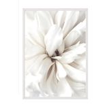Postifull Close Up Blossom Çerçeveli Tablo, Beyaz Çerçeve Ve Poster, Duvar Tablosu Comfort Serisi No:108417;10 X 15 Beyaz Çerçeveli