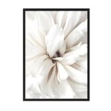 Postifull Close Up Blossom Çerçeveli Tablo, Siyah Çerçeve Ve Poster, Duvar Tablosu Comfort Serisi No:108417;30 X 42 Siyah Çerçeveli