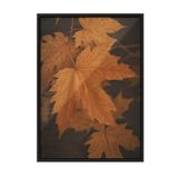 Postifull Close Up Leaf Çerçeveli Tablo, Siyah Çerçeve Ve Poster, Dikey Duvar Tablosu Comfort Serisi No:108350;33 X 48 Siyah Çerçeveli
