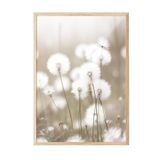 Postifull Cottongrass Çerçeveli Tablo, Ahşap Çerçeve Ve Poster, Dikey Duvar Tablosu Comfort Serisi No:108310;30 X 40 Ahşap Çerçeveli