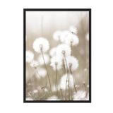 Postifull Cottongrass Çerçeveli Tablo, Siyah Çerçeve Ve Poster, Dikey Duvar Tablosu Comfort Serisi No:108310;10 X 15 Siyah Çerçeveli