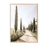 Postifull Cypress Tree Alley Çerçeveli Tablo, Ahşap Çerçeve Ve Poster, Duvar Tablosu Comfort Serisi No:108323;10 X 15 Ahşap Çerçeveli