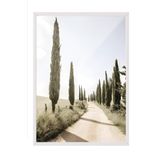 Postifull Cypress Tree Alley Çerçeveli Tablo, Beyaz Çerçeve Ve Poster, Duvar Tablosu Comfort Serisi No:108323;30 X 40 Beyaz Çerçeveli