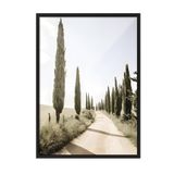 Postifull Cypress Tree Alley Çerçeveli Tablo, Siyah Çerçeve Ve Poster, Duvar Tablosu Comfort Serisi No:108323;10 X 15 Siyah Çerçeveli