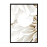Postifull Dahlia Dream Çerçeveli Tablo, Siyah Çerçeve Ve Poster, Dikey Duvar Tablosu Comfort Serisi No:108415;70 X 100 Siyah Çerçeveli