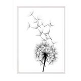 Postifull Dandelion Wish Çerçeveli Tablo, Beyaz Çerçeve Ve Poster, Duvar Tablosu Comfort Serisi No:108520;13 X 18 Beyaz Çerçeveli