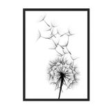 Postifull Dandelion Wish Çerçeveli Tablo, Siyah Çerçeve Ve Poster, Duvar Tablosu Comfort Serisi No:108520;13 X 18 Siyah Çerçeveli