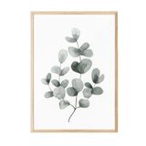 Postifull Eucalyptus No1 Çerçeveli Tablo, Ahşap Çerçeve Ve Poster, Duvar Tablosu Comfort Serisi No:108454;15 X 21 Ahşap Çerçeveli