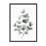 Postifull Eucalyptus No1 Çerçeveli Tablo, Siyah Çerçeve Ve Poster, Duvar Tablosu Comfort Serisi No:108454;10 X 15 Siyah Çerçeveli