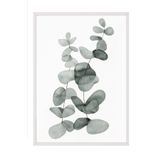 Postifull Eucalyptus No2 Çerçeveli Tablo, Beyaz Çerçeve Ve Poster, Duvar Tablosu Comfort Serisi No:108455;30 X 40 Beyaz Çerçeveli