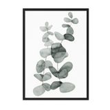 Postifull Eucalyptus No2 Çerçeveli Tablo, Siyah Çerçeve Ve Poster, Duvar Tablosu Comfort Serisi No:108455;13 X 18 Siyah Çerçeveli