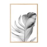 Postifull Feather Çerçeveli Tablo, Ahşap Çerçeve Ve Poster, Dikey Duvar Tablosu Comfort Serisi No:108302;10 X 15 Ahşap Çerçeveli