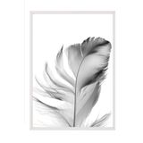Postifull Feather Çerçeveli Tablo, Beyaz Çerçeve Ve Poster, Dikey Duvar Tablosu Comfort Serisi No:108302;13 X 18 Beyaz Çerçeveli