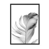 Postifull Feather Çerçeveli Tablo, Siyah Çerçeve Ve Poster, Dikey Duvar Tablosu Comfort Serisi No:108302;30 X 40 Siyah Çerçeveli