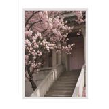 Postifull Flower Staircase Çerçeveli Tablo, Beyaz Çerçeve Ve Poster, Duvar Tablosu Comfort Serisi No:108368;30 X 40 Beyaz Çerçeveli