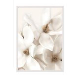 Postifull Flowering Magnolia Çerçeveli Tablo, Beyaz Çerçeve Ve Poster, Duvar Tablosu Comfort Serisi No:108416;50 X 70 Beyaz Çerçeveli