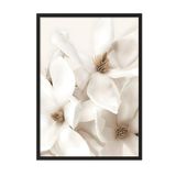 Postifull Flowering Magnolia Çerçeveli Tablo, Siyah Çerçeve Ve Poster, Duvar Tablosu Comfort Serisi No:108416;10 X 15 Siyah Çerçeveli