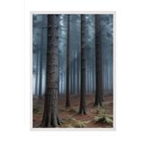 Postifull Forbidden Forest Çerçeveli Tablo, Beyaz Çerçeve Ve Poster, Duvar Tablosu Comfort Serisi No:108290;30 X 40 Beyaz Çerçeveli