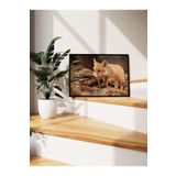 Postifull Forest Fox Çerçeveli Tablo, Siyah Çerçeve Ve Poster, Yatay Duvar Tablosu Comfort Serisi No:108349;70 X 100 Siyah Çerçeveli