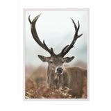 Postifull Forest Stag Çerçeveli Tablo, Beyaz Çerçeve Ve Poster, Dikey Duvar Tablosu Comfort Serisi No:108443;21 X 30 Beyaz Çerçeveli