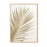 Postifull Gold Palm Çerçeveli Tablo, Ahşap Çerçeve Ve Poster, Dikey Duvar Tablosu Comfort Serisi No:108378;30 X 42 Ahşap Çerçeveli