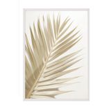 Postifull Gold Palm Çerçeveli Tablo, Beyaz Çerçeve Ve Poster, Dikey Duvar Tablosu Comfort Serisi No:108378;21 X 30 Beyaz Çerçeveli