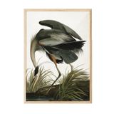 Postifull Great Heron Çerçeveli Tablo, Ahşap Çerçeve Ve Poster, Dikey Duvar Tablosu Comfort Serisi No:108502;13 X 18 Ahşap Çerçeveli