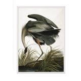 Postifull Great Heron Çerçeveli Tablo, Beyaz Çerçeve Ve Poster, Dikey Duvar Tablosu Comfort Serisi No:108502;10 X 15 Beyaz Çerçeveli