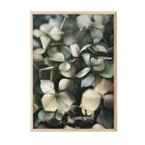 Postifull Green Hydrangea Çerçeveli Tablo, Ahşap Çerçeve Ve Poster, Duvar Tablosu Comfort Serisi No:108400;10 X 15 Ahşap Çerçeveli