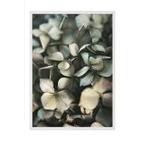 Postifull Green Hydrangea Çerçeveli Tablo, Beyaz Çerçeve Ve Poster, Duvar Tablosu Comfort Serisi No:108400;10 X 15 Beyaz Çerçeveli