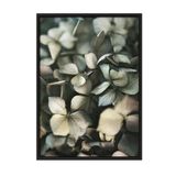 Postifull Green Hydrangea Çerçeveli Tablo, Siyah Çerçeve Ve Poster, Duvar Tablosu Comfort Serisi No:108400;30 X 40 Siyah Çerçeveli