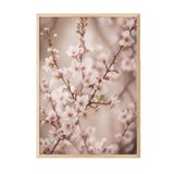Postifull Heather Flowers Çerçeveli Tablo, Ahşap Çerçeve Ve Poster, Duvar Tablosu Comfort Serisi No:108535;30 X 42 Ahşap Çerçeveli