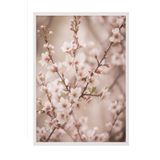 Postifull Heather Flowers Çerçeveli Tablo, Beyaz Çerçeve Ve Poster, Duvar Tablosu Comfort Serisi No:108535;30 X 40 Beyaz Çerçeveli