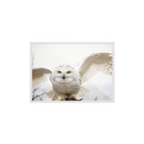 Postifull Hedwig Çerçeveli Tablo, Beyaz Çerçeve Ve Poster, Yatay Duvar Tablosu Comfort Serisi No:108288;13 X 18 Beyaz Çerçeveli