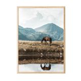 Postifull Highland Horse Çerçeveli Tablo, Ahşap Çerçeve Ve Poster, Duvar Tablosu Comfort Serisi No:108446;10 X 15 Ahşap Çerçeveli
